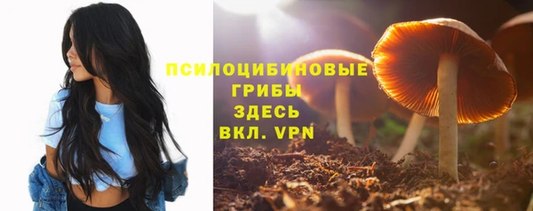 гидра Армянск