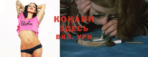 гидра Армянск