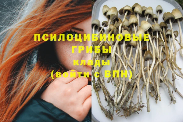 mix Арсеньев