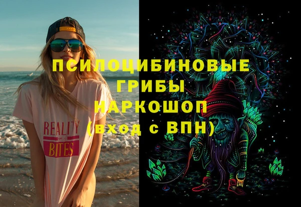 гидра Армянск