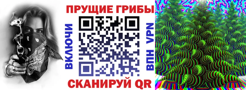 Псилоцибиновые грибы ЛСД даркнет телеграм Чадан