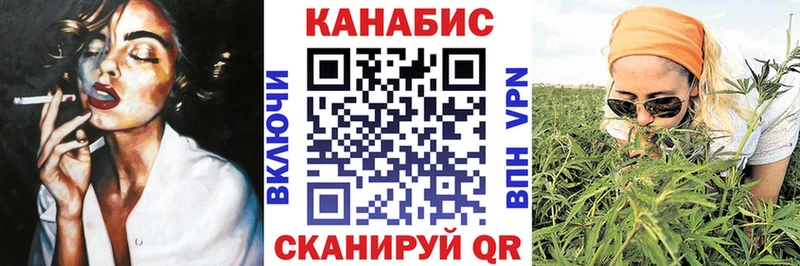 Каннабис OG Kush Чадан